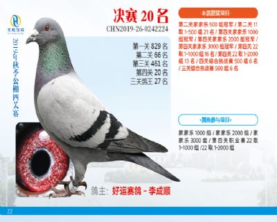 威力慧能决赛20名