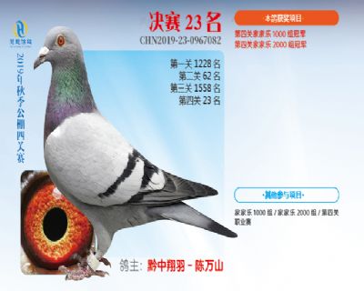 威力慧能决赛23名
