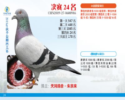 威力慧能决赛24名