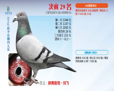 威力慧能决赛29名