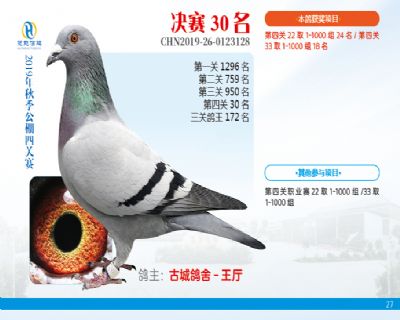 威力慧能决赛30名