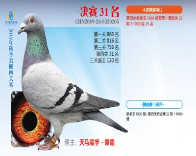 威力慧能决赛31名