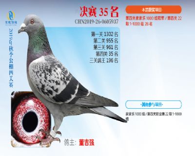 威力慧能决赛35名