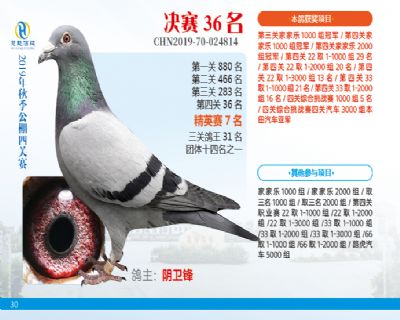 威力慧能决赛36名