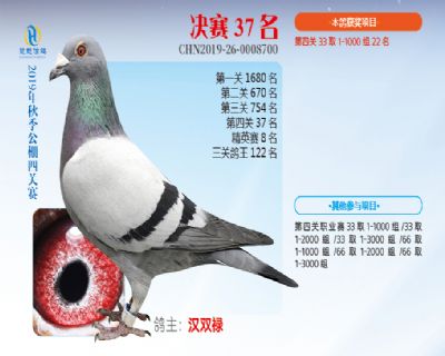 威力慧能决赛37名