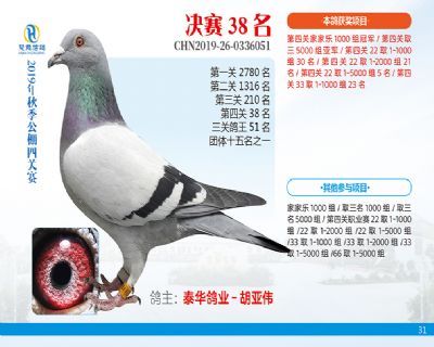 威力慧能决赛38名