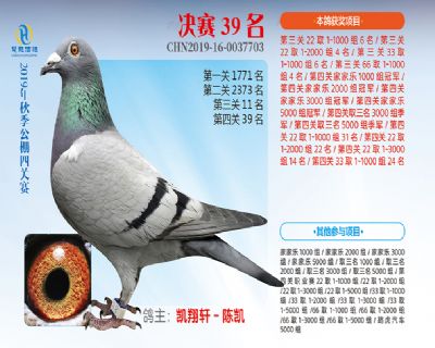 威力慧能决赛39名
