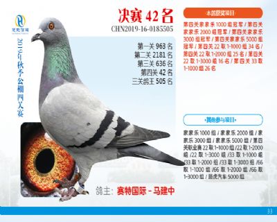 威力慧能决赛42名