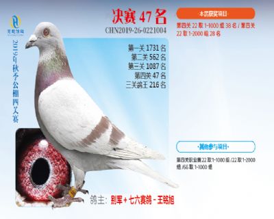 威力慧能决赛47名