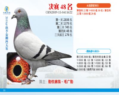 威力慧能决赛48名