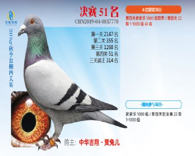 威力慧能决赛51名