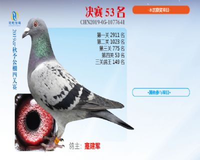 威力慧能决赛53名