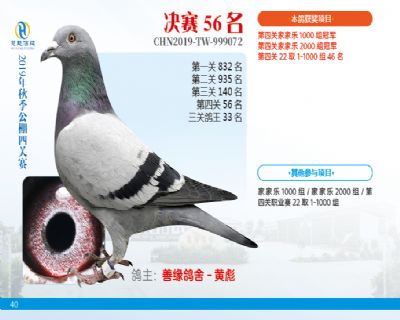 威力慧能决赛56名