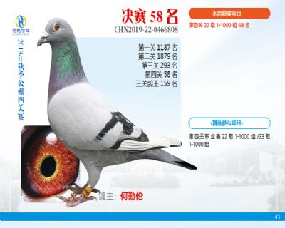 威力慧能决赛58名