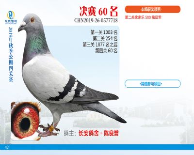 威力慧能决赛60名