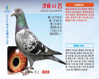 威力慧能决赛61名
