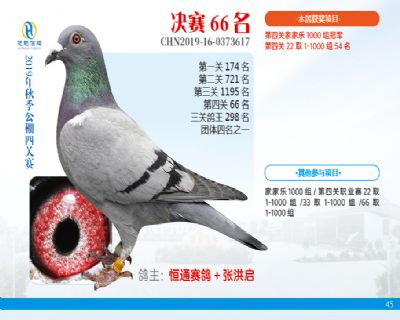 威力慧能决赛66名