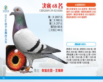 威力慧能决赛68名