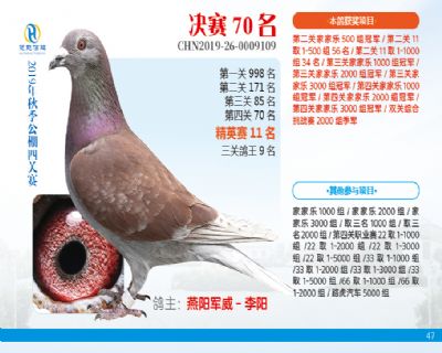 威力慧能决赛70名