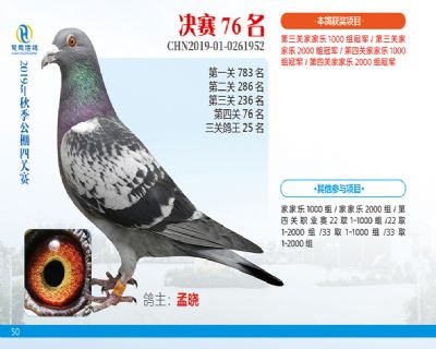 威力慧能决赛76名