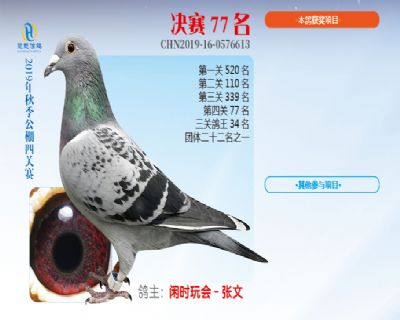 威力慧能决赛77名