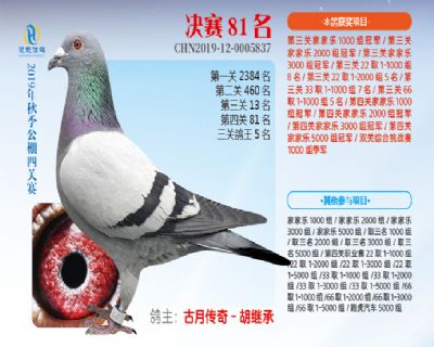 威力慧能决赛81名