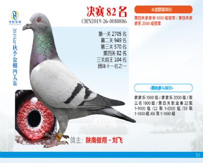 威力慧能决赛82名