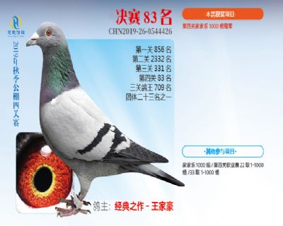 威力慧能决赛83名