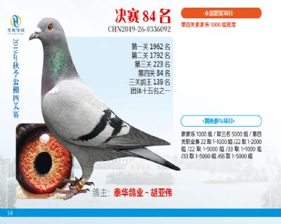 威力慧能决赛84名