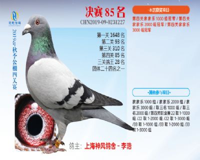威力慧能决赛85名
