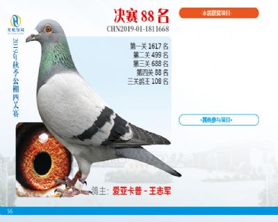 威力慧能决赛88名