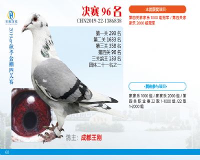 威力慧能决赛96名