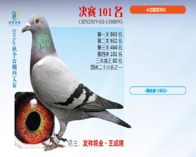 威力慧能决赛101名