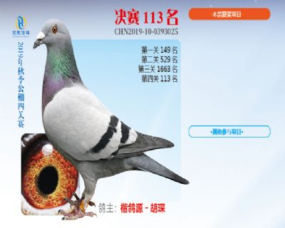 威力慧能决赛113名
