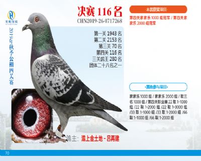 威力慧能决赛116名