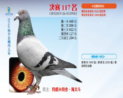 威力慧能决赛117名