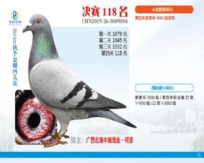 威力慧能决赛118名