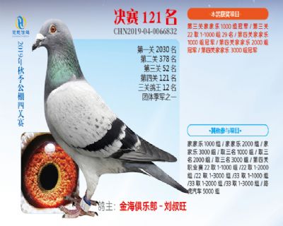 威力慧能决赛121名