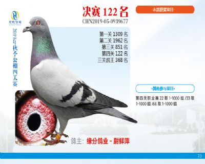 威力慧能决赛122名