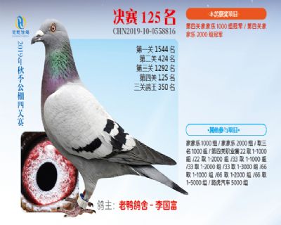 威力慧能决赛125名