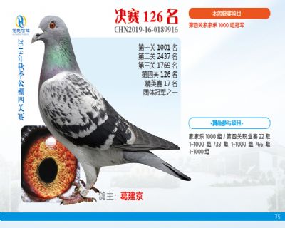 威力慧能决赛126名