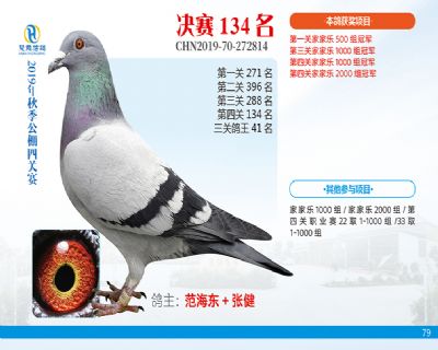 威力慧能决赛134名