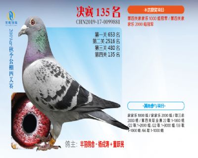 威力慧能决赛135名