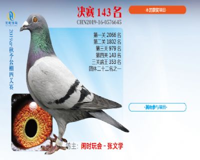 威力慧能决赛143名