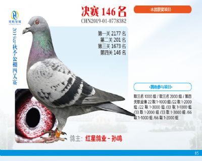 威力慧能决赛146名
