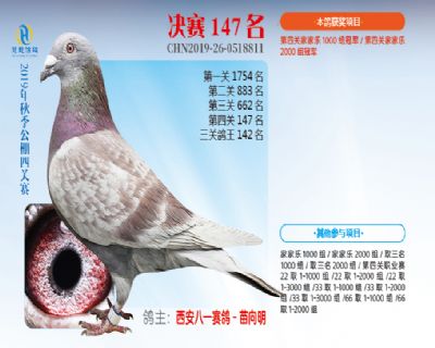 威力慧能决赛147名