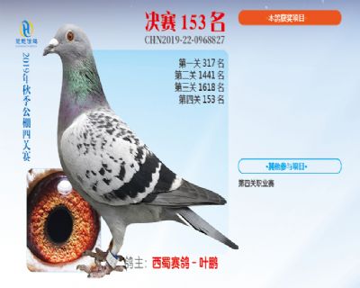 威力慧能决赛153名