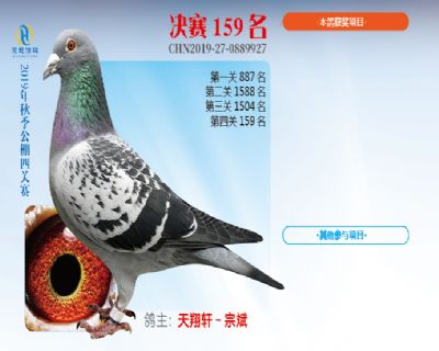威力慧能决赛159名