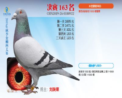 威力慧能决赛163名