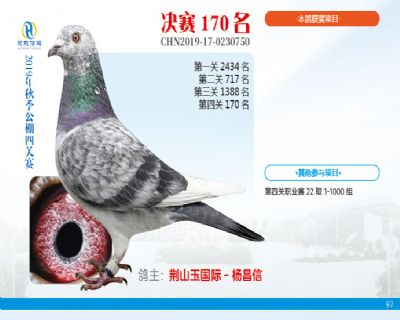 威力慧能决赛170名